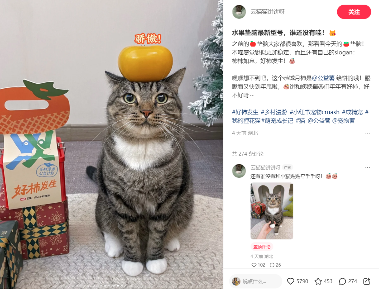 U8娱乐